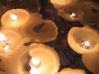 thumbs/img_0864.jpg.jpg