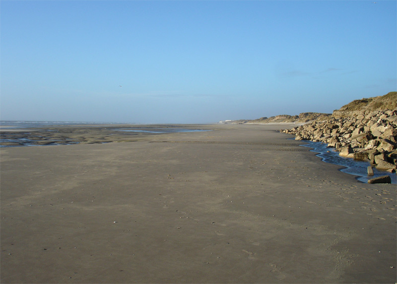DSC00161.jpg
