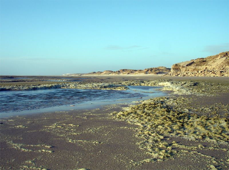 DSC00163.jpg