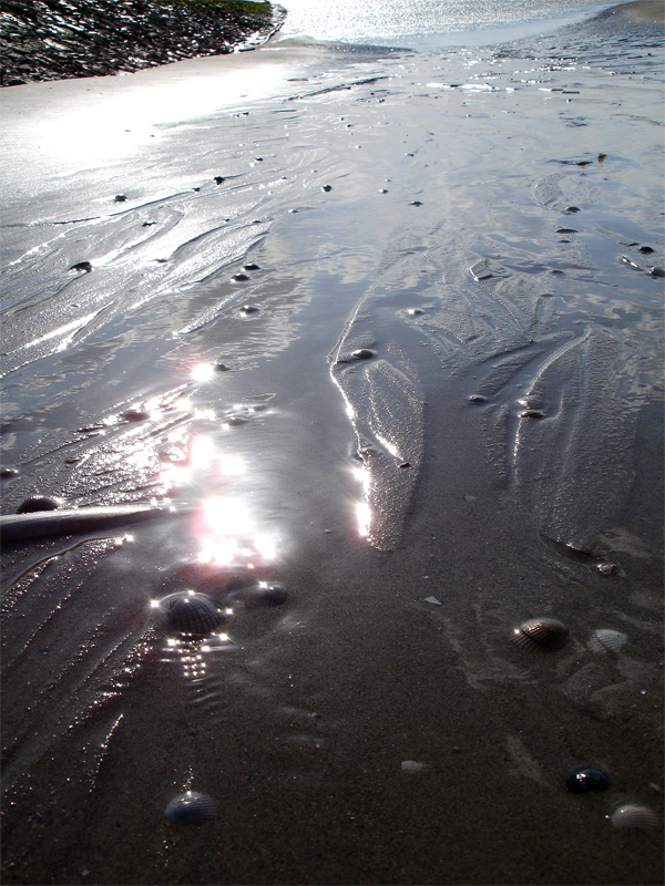 DSC05753.jpg
