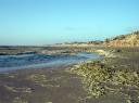 DSC00163.jpg