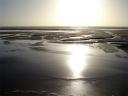 DSC00167.jpg