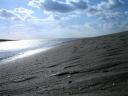 DSC05730.jpg
