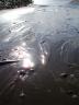 DSC05753.jpg