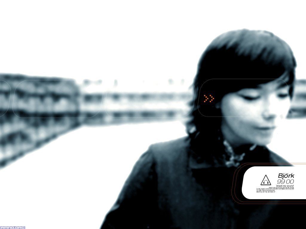 Amno.org285.jpg