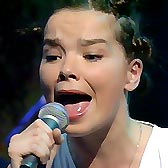 BJORK16.JPG