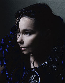 Bjork6.jpg