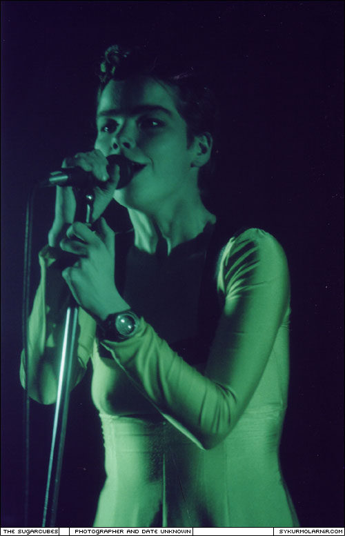 bjork-yellowdress_3.jpg
