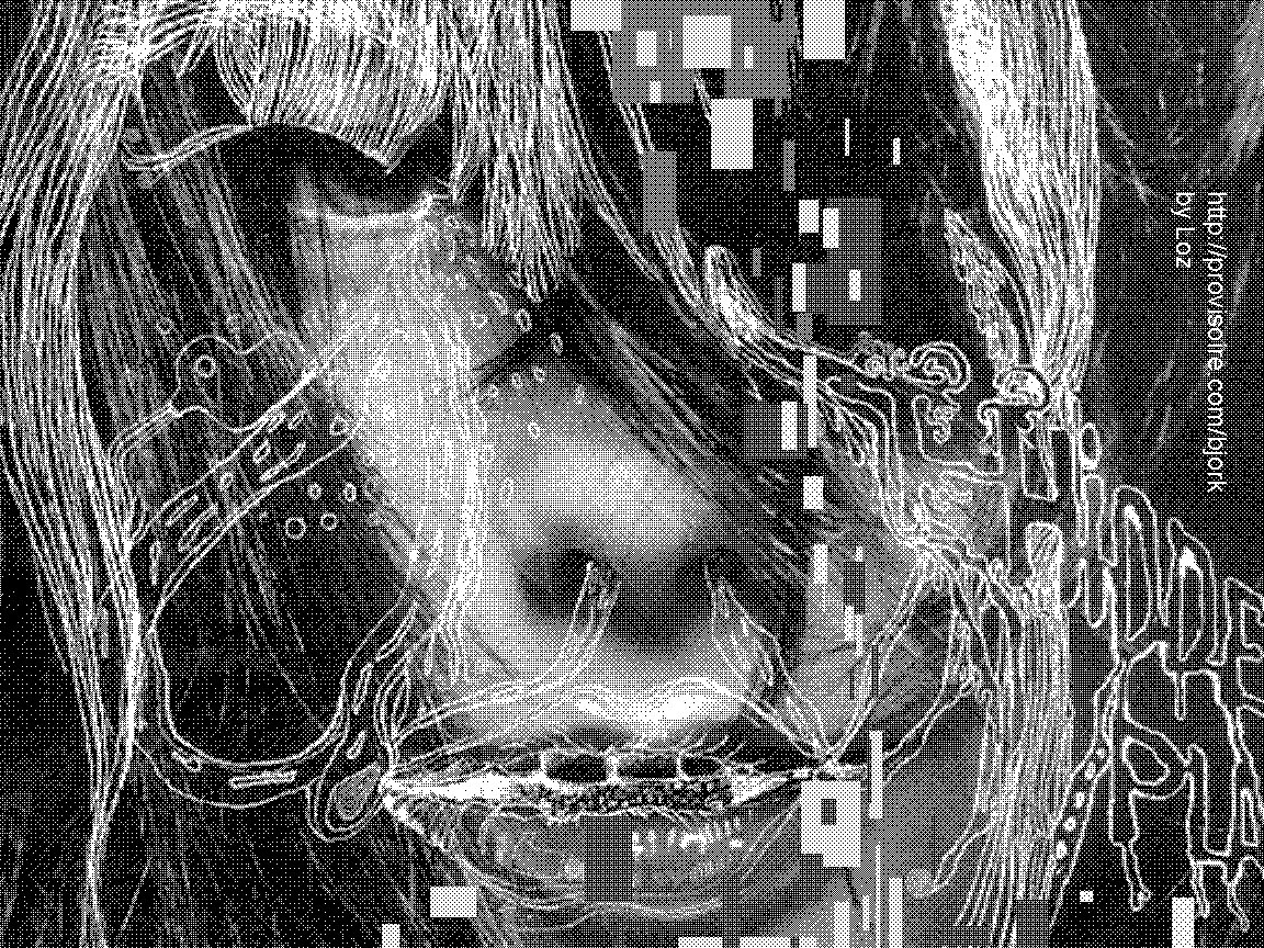 bjork0003.jpg