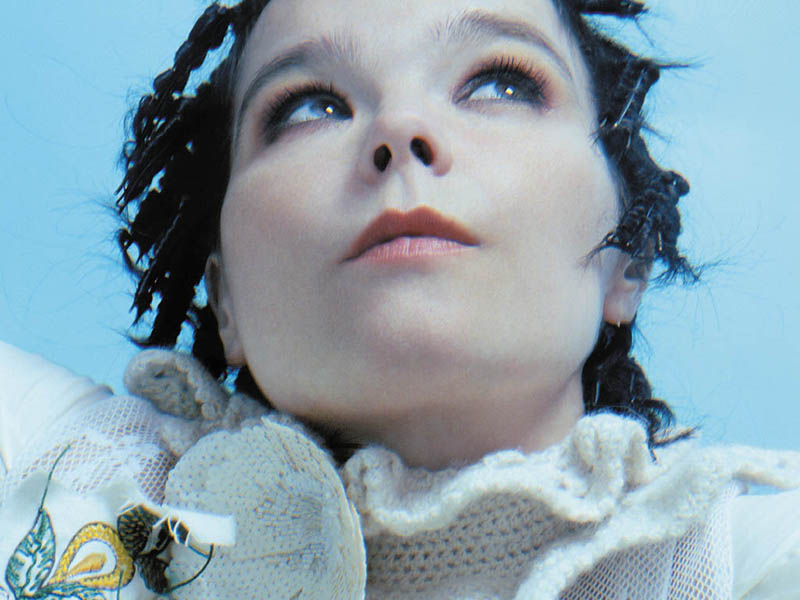 bjork_800.jpg