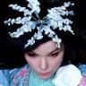 BJORK17.JPG