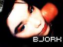 Bjork_23.jpg
