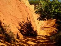 ocre03.jpg