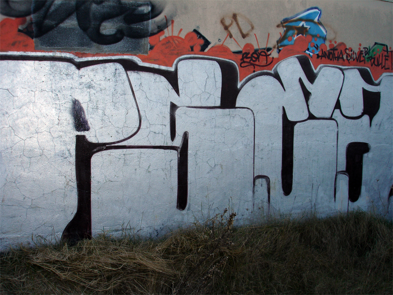 DSC00178.jpg