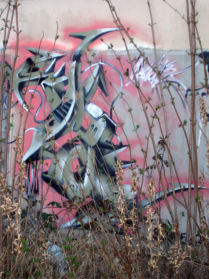 DSC00182.jpg