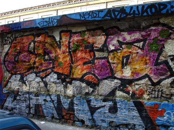 DSC05810.jpg