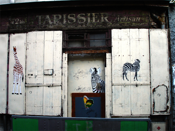 DSC05814.jpg