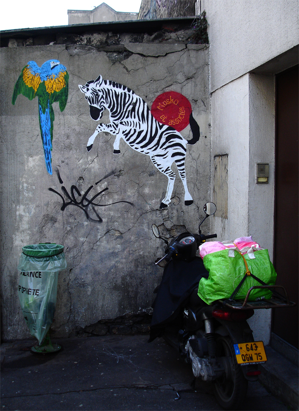 DSC05820.jpg