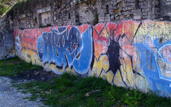 DSC06088.jpg