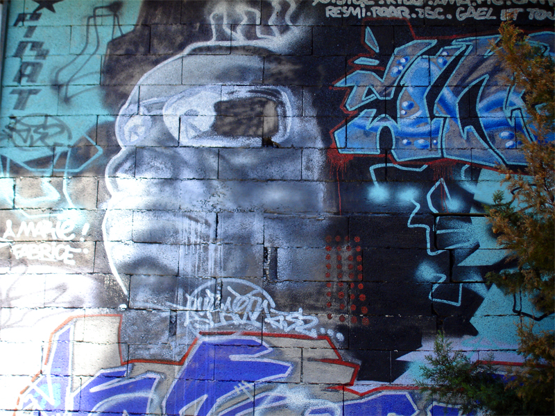 DSC06298.jpg