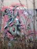 DSC00182.jpg