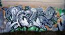 DSC05713.jpg