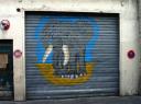 DSC05816.jpg