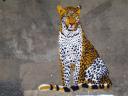 DSC05819.jpg
