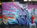 DSC06080.jpg