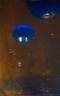 DSC04940.jpg