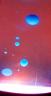 DSC04967.jpg