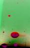 DSC04969.jpg