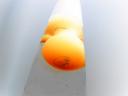 DSC04971.jpg