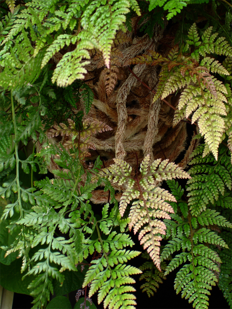 DSC07222.jpg