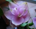 DSC04701.jpg