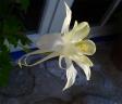 DSC06356.jpg
