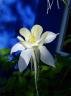 DSC06358.jpg