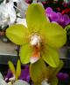 DSC07225.jpg