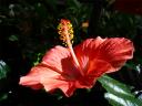DSC07229.jpg