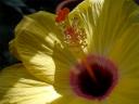 DSC07230.jpg