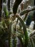 DSC07242.jpg